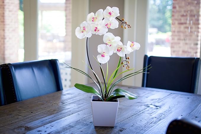 HOMESEASONS Homeseaons Orchid Lamp-LED Lighted Orchid Arrangements,Pre Lit Artificial Orchid,Light Up Flower Lights, Faux Orchid Phalaenopsis Arrangement (White)