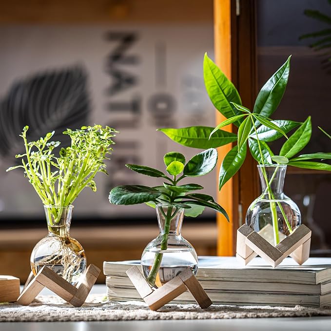 Propagation Stations, Propagation vases with Wooden Stand, Small Tabletop Glass Bulb Vases for Hydroponics Plant Propagation Station Home Office Decoration, Gift for Women Plant Lovers (6)