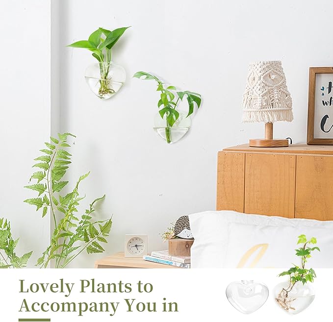 XXXFLOWER Wall Hanging Glass Terrariums，Clear Planters Propagation Station Glass Flower Vase,Air Plant Terrariums for Hydroponic Plants,Home Office Decor,Gifts,Heart-Shaped Set of 2