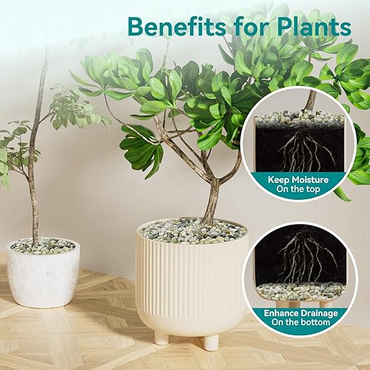 10 lbs Jade Pebbles for Indoor Plants, 3/8" Plant Rocks for Pots Indoor, Decorative Small Stones for Plants, Bamboo,Vase, Succulent, Highly Polished Small River Rocks