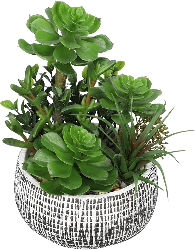 10” Large Succulents Plants Artificial in Ceramic Pots Potted Faux Succulent Arrangement with Black Bowl Pots Fake Desk Succulents Plants for Home Bathroom Shelf Table Indoor Decor