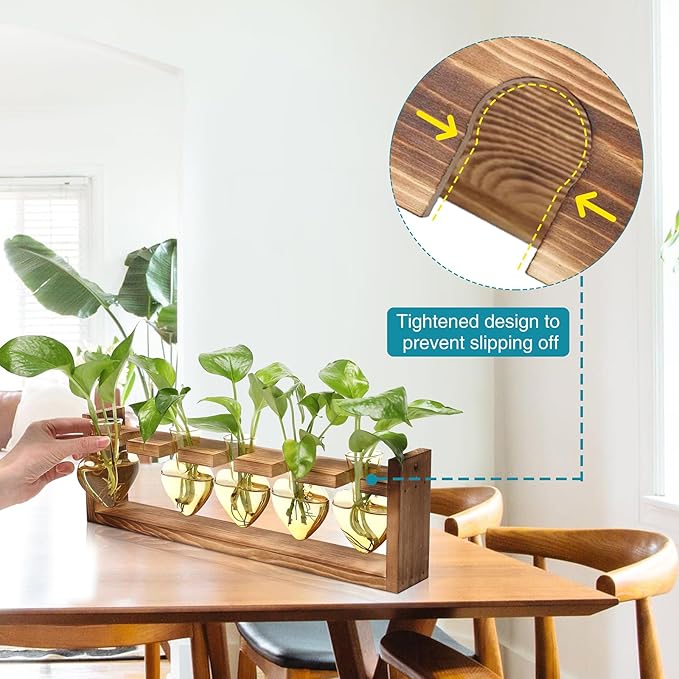 Plant Terrarium Hanging Propagation Stations Gift for Women Plant Lover air Plant Holder with Wooden Stand Heart Glass