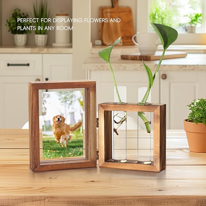 Plant Propagation Stations, Propagation Vases for Plants with Photo Frame and Glass Planters Indoor Plant Stand Hydroponic Propagation Stations Tabletop Home Kitchen Office Decor