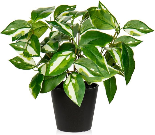 Artificial Plants Indoor Small Fake Plants in Pots Faux Pothos N‘ Joy Potted Plant Fake Indoor Plants with Black Pots for Bathroom Living Room Office Desk Shelves