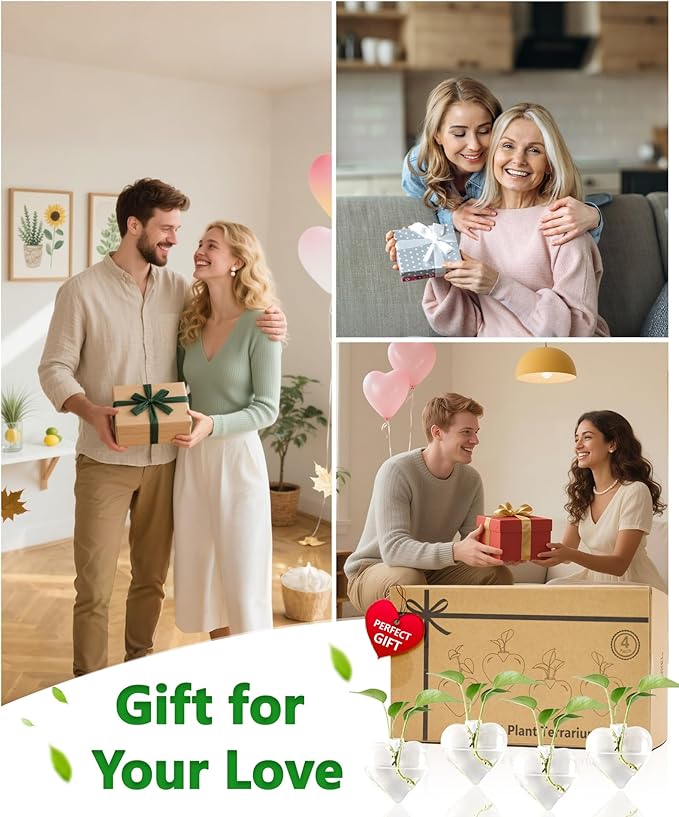 Nacome Wall Hanging Glass Planter Terrarium Plant Propagation Station, 4 Pack Heart Shape Vase for Hydroponic Home Office Garden Decor,Unique Gardening Gifts for Plant Lovers Women Mom