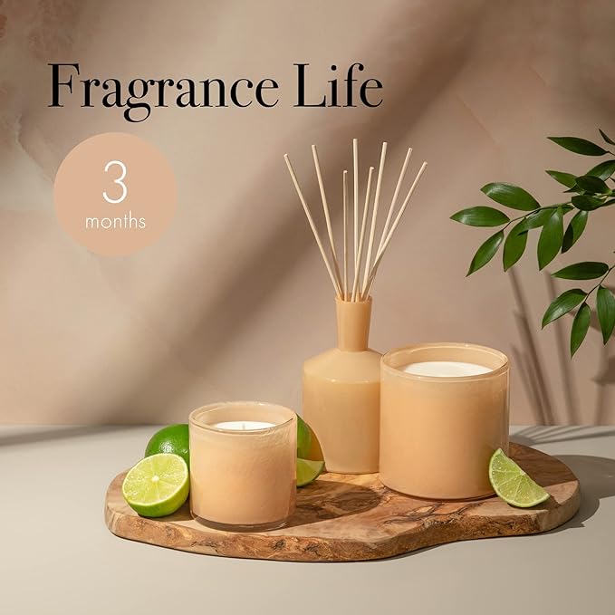 LAFCO New York Classic Reed Diffuser, Paloma Melon - 6 oz - Up to 3 Months Fragrance Life - Reusable Glass Vessel - Natural Wood Reeds - Made in The USA