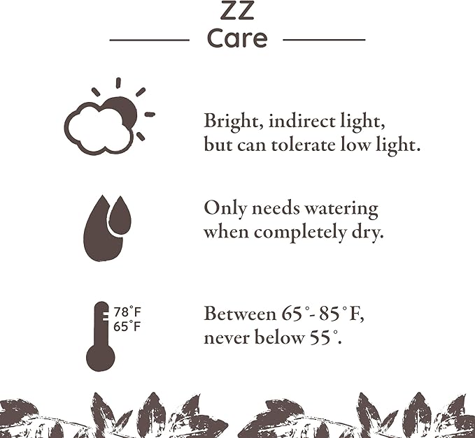 Green Circle Growers 5" ZZ Plant in Cream Jute Pot, Live Indoor Plants, House Plant