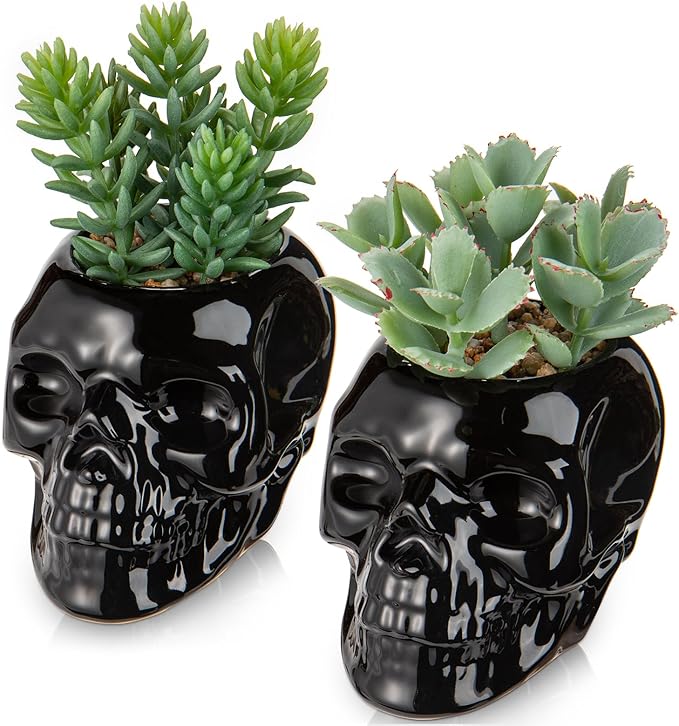Small Fake Succulents Plants Artificial Succulents in Pots Set of 2 Mini Succulent Plant Realistic Faux Plants Skull Artificial Succulent Plants for Home Office Table Bedroom Bathroom Shelf Decor