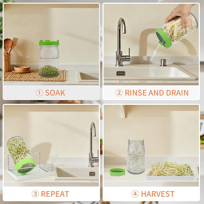 Seed Sprouting Kit with Mung Beans 80g, 2 Large Wide Mouth Mason Jars with Sprout Lids, Blackout Sleeves, Drain Tray, Stainless Steel Stand, Sprouts Growing Kit for Growing Bean Alfalfa Sprout Seeds