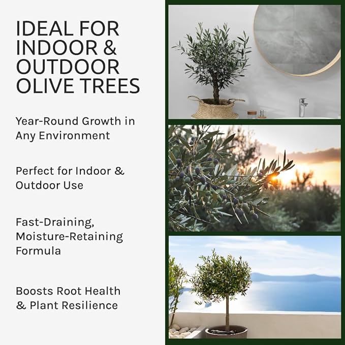 Organic Olive Tree Potting Mix – Fast-Draining, Nutrient-Rich Soil for Indoor & Outdoor Olive Trees – Mediterranean Plant Care – Long-Lasting Formula (4 QUARTS)
