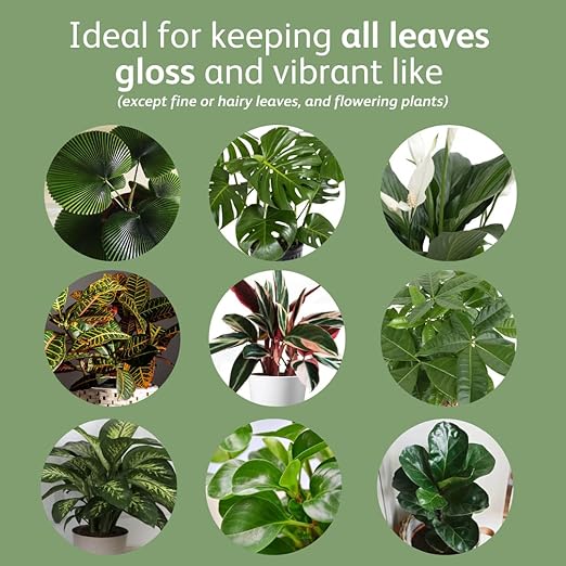 Chrysal Leaf Shine Spray for Indoor Plants (25 Ounce 1 Pack)