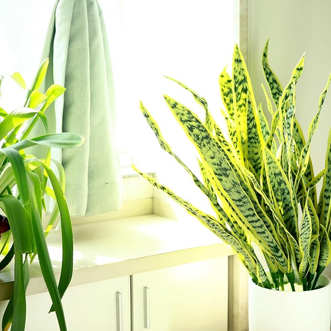 3 Pack Faux Snake Plants 31in Artificial UV Resistant Snake Outdoors Fake Sansevieria Plastic Plant with Large Green Leaves Greenery for Home Indoor Floor Office Store Front Porch Decorations