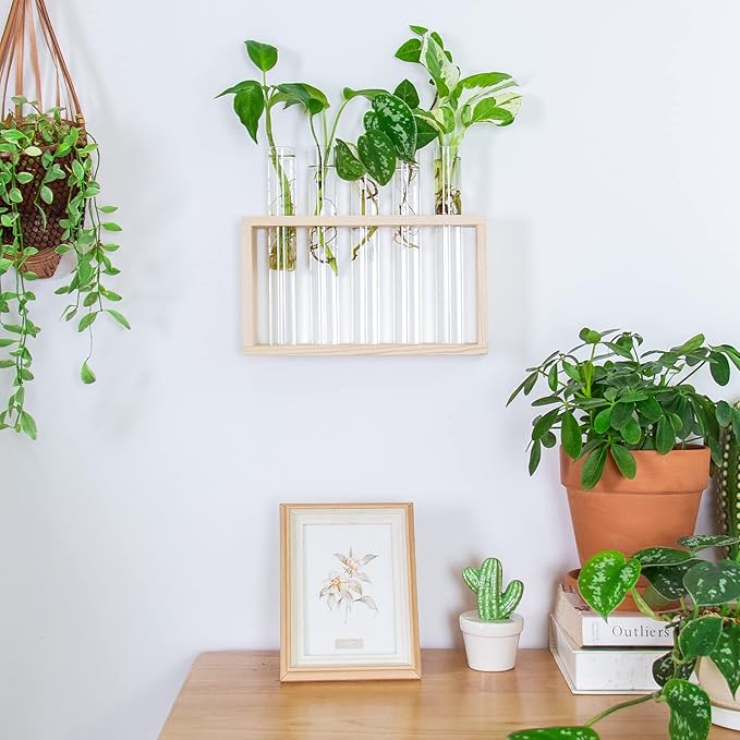 Propagation Station, Plants Terrarium, Plants Lover Gifts for Women,Plant Cutting Holder Home décor,Gifts for Women,House Warming New Home-5 Tubes-Beige