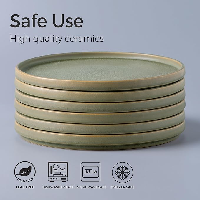 AmorArc Stoneware Dinner Plates Set of 6, 10.5 Inch Reactive Matte Glaze Ceramic Plates Set, Modern Dinnerware Dish set for Kitchen, Microwave, Dishwasher Safe