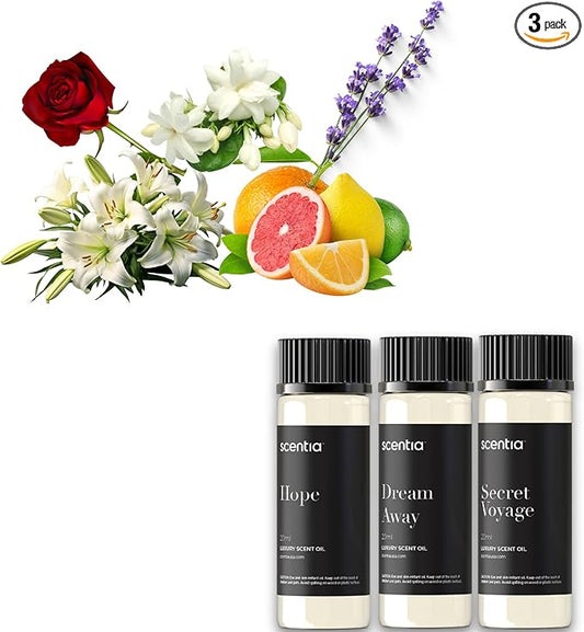 Perfume-Inspired Essential Oil Set – 3×20ml Diffuser Oils with Floral & Woody Notes | Designer Fragrance Blends for Home, Spa & Aromatherapy - Thanksgiving & Holiday Gift