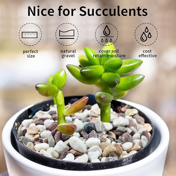 2 lbs Natural Mixed Color Pea Gravel Pebbles, 3/8 inch Decorative Rocks for Succulents, Pebbles for Indoor Plants, Vases, Aquarium Gravel, Top Dressing, Outdoor Decorative Stones