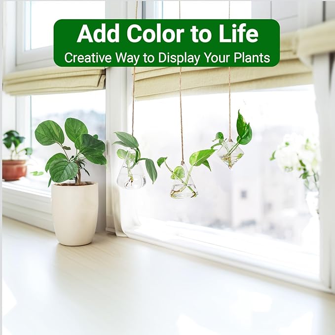 Propagation Station, Plants Terrarium, Plants Lover Gifts for Women,Plant Cutting Holder Home décor,Gifts for Women,House Warming New Home-3 Geometric Shape