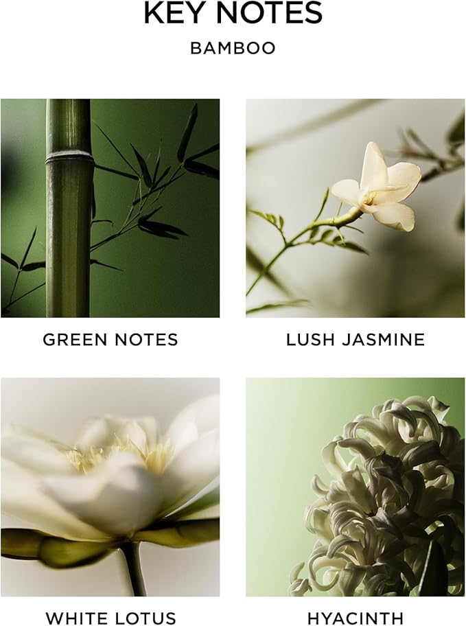 NEST New York Scented 3-Wick Candle, Bamboo - 21.2 oz - Up to 100-Hour Burn Time - Reusable Glass Vessel