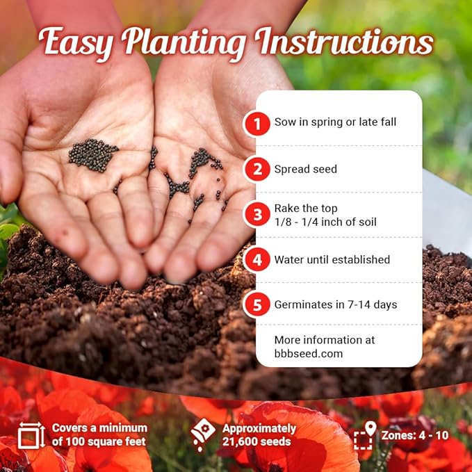 Parade of Poppy Wildflower Seeds - 1oz, Open-Pollinated Flower Seed Mix Packets, No Fillers, Annual, Perennial Wildflower Seeds, Year Round Planting - 1 oz