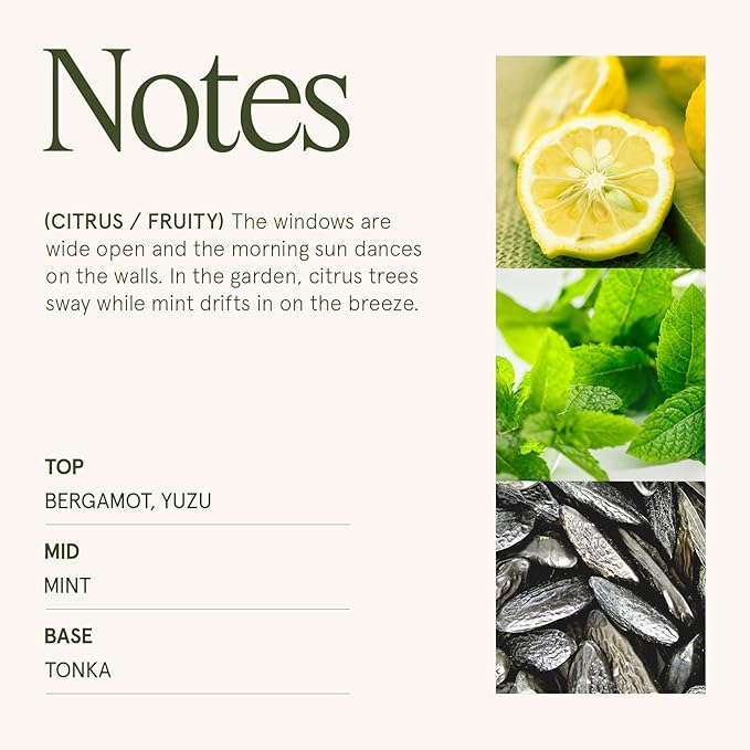 LA JOLIE MUSE Citrus Mint Scented Candles, Summer Candle, 19 oz Wood Wicked Large Candle Gifts for Men&Women, Long Burning Glass Jar Candles