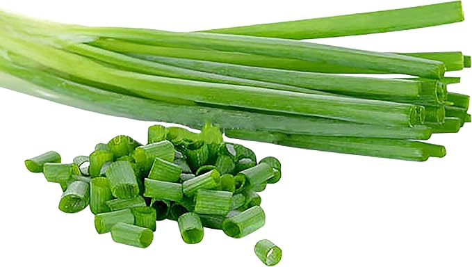 Delicious Salad Green Onion Scallions Seeds - Easy to Grow - 1600 Seeds