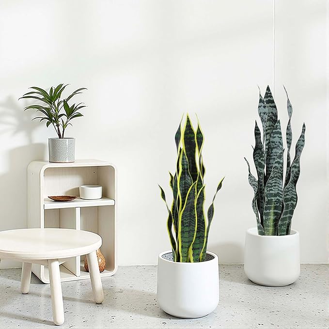 Artificial Snake Plant 25Inch Fake Sansevieria Faux Silk Potted Plant Artificial Mother in Law Tongue Plant for Indoor Outdoor Home Office Garden Decor Green