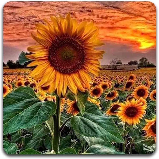 Sunflowers Square Coaster Set - Made of Recycled Rubber - Set of 4