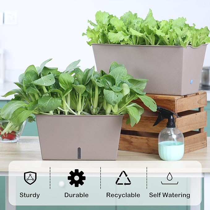 Window Box Planter 6 Pcs, 12.6 Inches Self Watering Rectangle Flower Plant Pots with Drainage Holes & Breathable Trays, Vegetable Planters for Windowsill Patio Garden Balcony Porch Yard (Khaki)