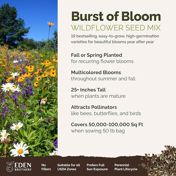 Eden Brothers Burst of Bloom Wildflower Mixed Seeds for Planting, 50 lb, 24,000,000+ Seeds with Cosmos, Black Eyed Susan | Attracts Pollinators, Plant in Spring or Fall, Zones 3, 4, 5, 6, 7, 8, 9, 10
