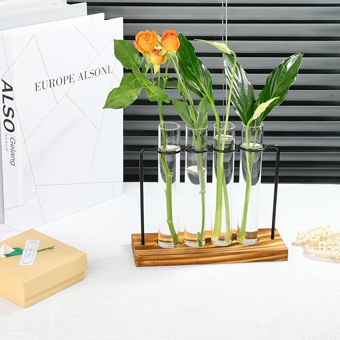 Plant Propagation Station, Glass Tubes for Indoor Hydroponic Plants & Flower Stems, Home/Office Decor, Birthday Gifts for Women, Gardening Gifts for Mom