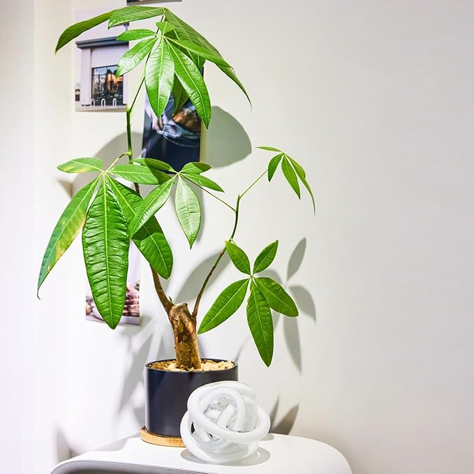 Luxury Lane Hand Blown Infinity Knot Sommerso Decorative Glass Ball for Bowls Home Decor 4 inch Tall Orbit Centerpiece Table Decoration Sculpture White