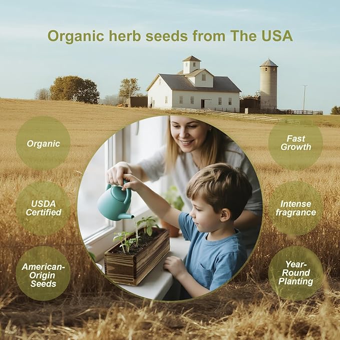 5 Herb Garden Kit with Wooden Box - Including Basil, Thyme, Parsley, Rosemary, Mint, Window Herb Garden for Kitchen, Gardening Gifts for Mom Women, Men, Gift Ideas for Christmas, Housewarming