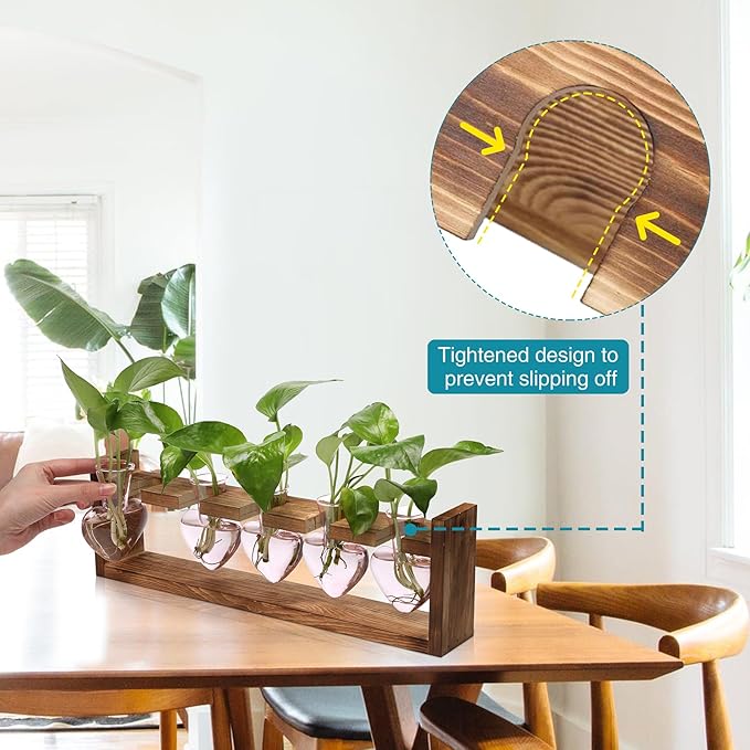 Plant Terrarium Hanging Propagation Stations Gift for Women Plant Lover air Plant Holder with Wooden Stand Heart Glass