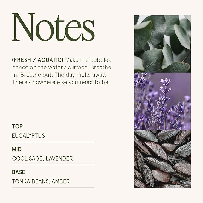 LA JOLIE MUSE Scented Candles Eucalyptus & Alpine Sage, 19 oz Large Wood Wicked Candle, Decorative Candles in Glass, Natural Soy Wax, 90 Hours Long Burning