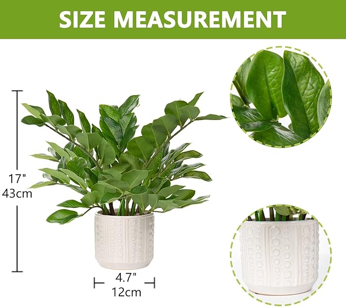 Briful Faux Plants Indoor 17" Artificial ZZ Plants in Ceramic Pot Fake Potted Zamioculcas Silk Plants for Home Table Decor Bedroom Aesthetic (1Pack)