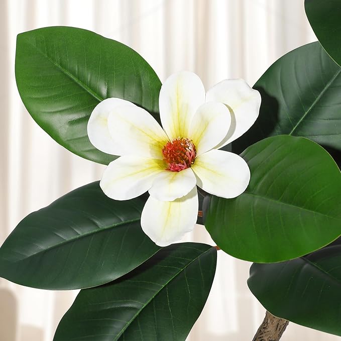 Rubber Tree 7 ft Artificial Tree in White Planter Pot, Faux Plants Indoor Faux Floor Plant Artificial Plants with 8 Pcs Magnolia Flowers for Home Decor, Artificial Fiddle Leaf Fig Tree for Office