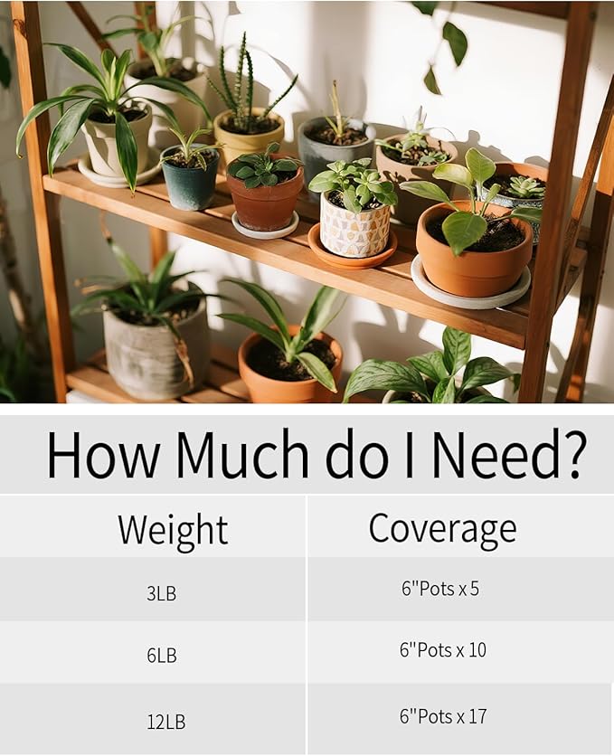 12LB White Succulent & Cactus Gravel Pebbles - 1/4-3/8 Inch Natural Polished River Rocks, Decorative Stones for Plants, Terrariums, Vases, Aquariums & Outdoor Gardening