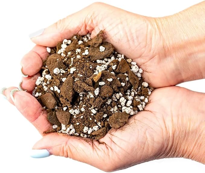 Palm Tree Potting Mix - The Ultimate Soil for Strong and Healthy Palms - Top Choice for Palm Tree Growers ? [20 Quart Bag]