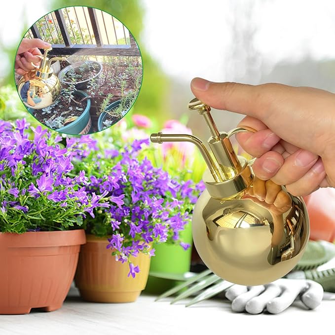 Stainless Steel Plant Sprayer, Small Watering Can, Modern Gardening Tool for Indoor Potted Plants, Gold Color