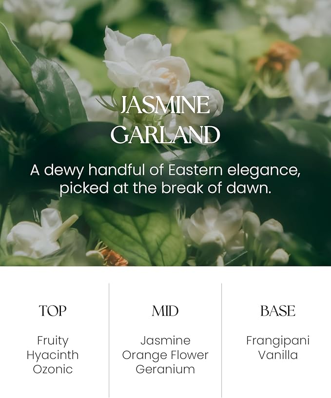 M&SENSE Jasmine Reed Diffuser with Sticks - 8.79fl oz Home Fragrance Non-Toxic Essential Oil Diffuser with Sticks, Air Freshner Gifts for Bedroom Bathroom Office