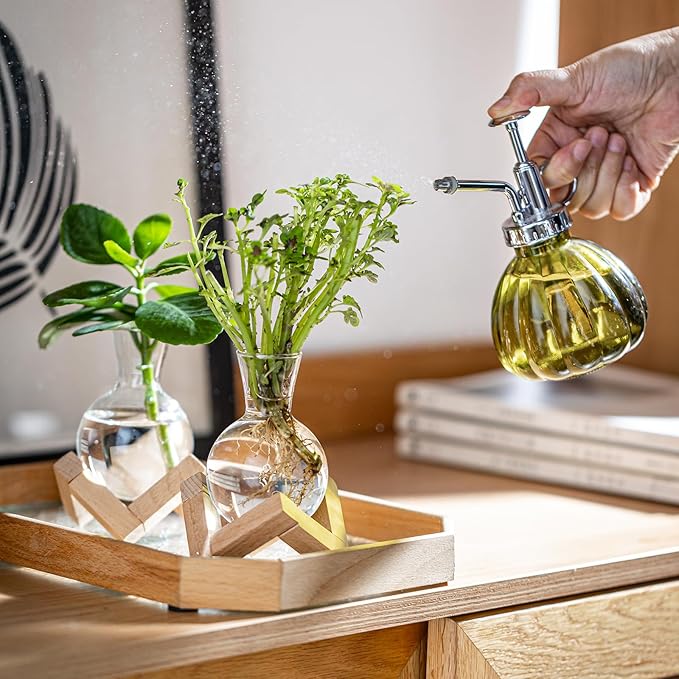 Propagation Stations, Propagation vases with Wooden Stand, Small Tabletop Glass Bulb Vases for Hydroponics Plant Propagation Station Home Office Decoration, Gift for Women Plant Lovers (6)