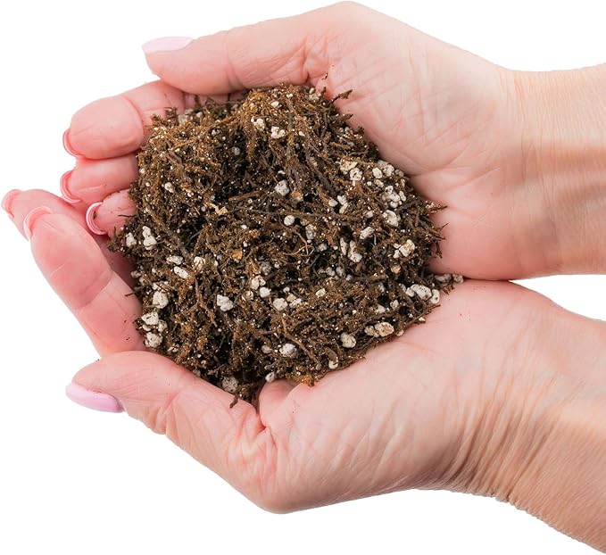 Premium Organic Potting Soil, Succulent & Cactus Soil Mix, Fast Draining Pre-Mixed Blend - Horticultural Perlite (25%) + Peat Moss (75%) - Made in USA - 3 Quart