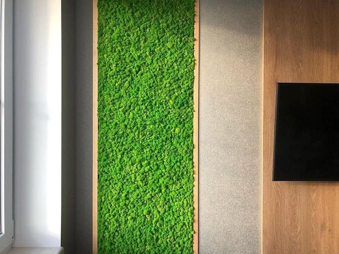 Preserved Reindeer Moss Natural Green DIY Kit Gardenning Art Wall Decor Florist Decor Easter Table Decor Wedding