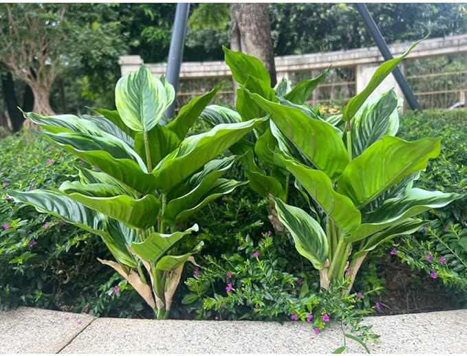 4 Bushes Perennial Hosta Artificial Variegated Green Leave Plant 15.7" Faux Dieffenbachia Tropical Plant Outdoor Shrubs Indoor Yard Decor