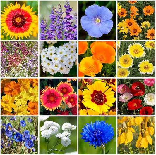 Park Seed Grow Your Own Vibrant Annual and Perennial Wildflower Garden Mixture, Easy to Grow Varieties for Pollinators and Spring Gardens - Dry Places Mix, 50 lbs