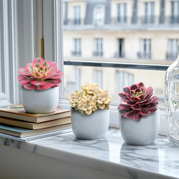 Live Succulents 'Apricot Beauty' (4-inch), Succulent Plants Fully Rooted in Pots with Soil, Easy-Care House Plant for DIY, Home Office Decor, Wedding Party Favor