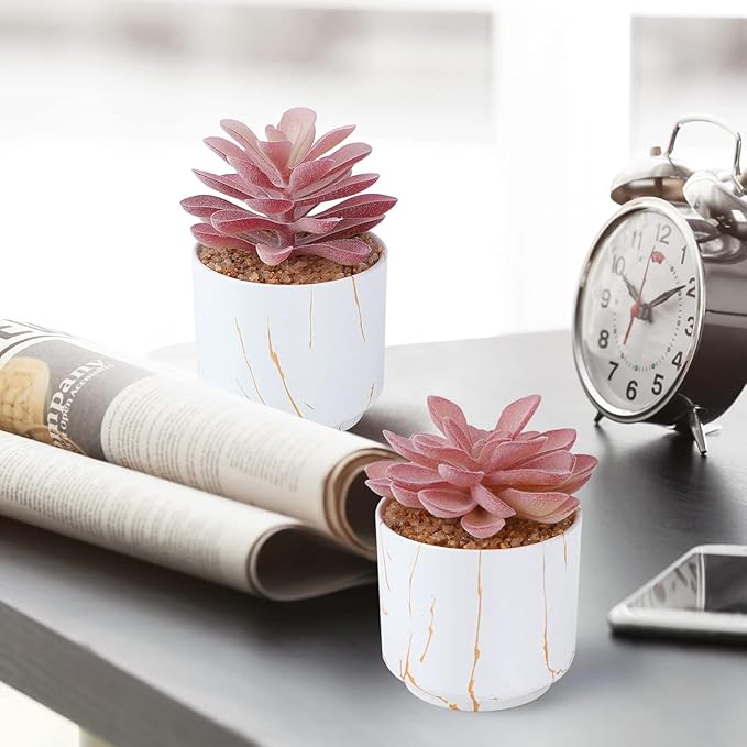 Succulent Artificial Plants,Cute Fake Succulents in 4 White Ceramic Pots,Small Fake Plants for Office,Table,Desk,Bathroom, Bedroom,Aesthetic Room Shelves Decor,Desk Decorations for Women Office