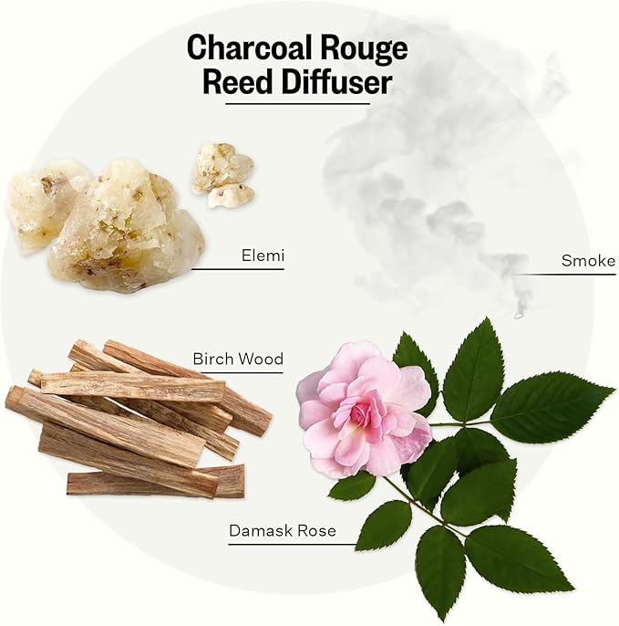 Apotheke Luxury Scented Reed Diffuser for Home, Charcoal Rouge - 6.7 Fl Oz Essential Oil Aromatherapy - 10 Rattan Scent Sticks Room Diffuser - Long-Lasting Fragrance for Bedroom, Home, Bathroom