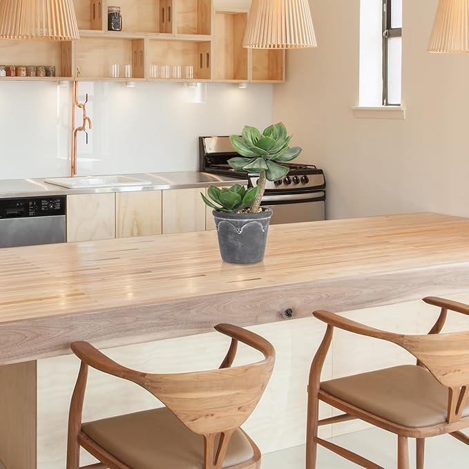 Hollyone Large Artificial Succulent Plants Fake Two-Head Succulents Agave Plant Potted 13" Faux Plant in Vintage Cement Pot Succulent Aloe Indoor for Home Office Living Room Table Shelf Decor