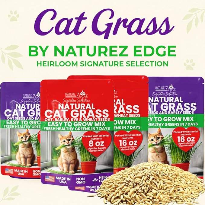 NatureZ Edge Premium Cat Grass Seeds for Indoor Cats, Non GMO - 1/2 lb Oat, Wheat, Barley & Rye Grass for Indoor Cats, Cat Plant, Kitty Lawn, Pet Grass, Hierba para Gatos, Made in USA